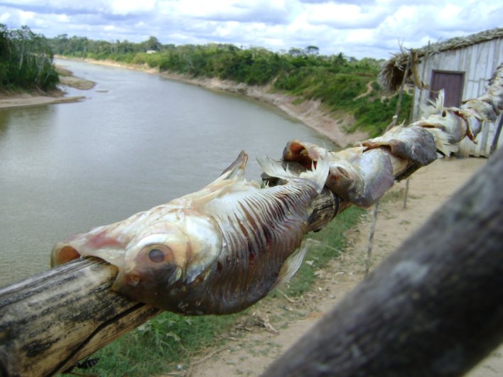 1er premio_Secando pescado_Christian Frenopoulo